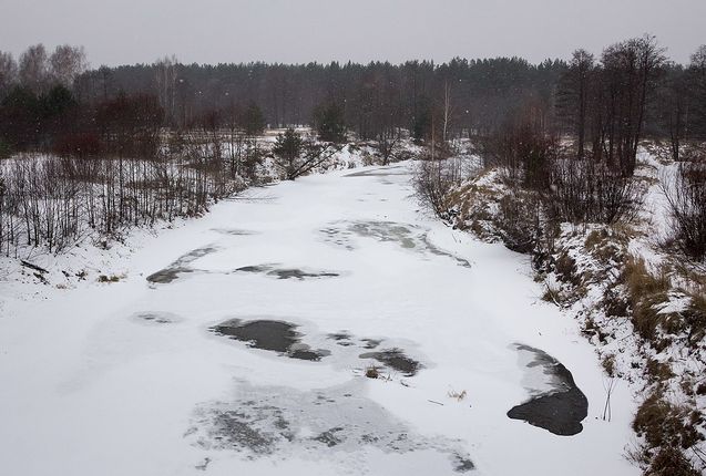 Благотворительный показ спектакля «Юная любовь в пяти театральных измерениях»